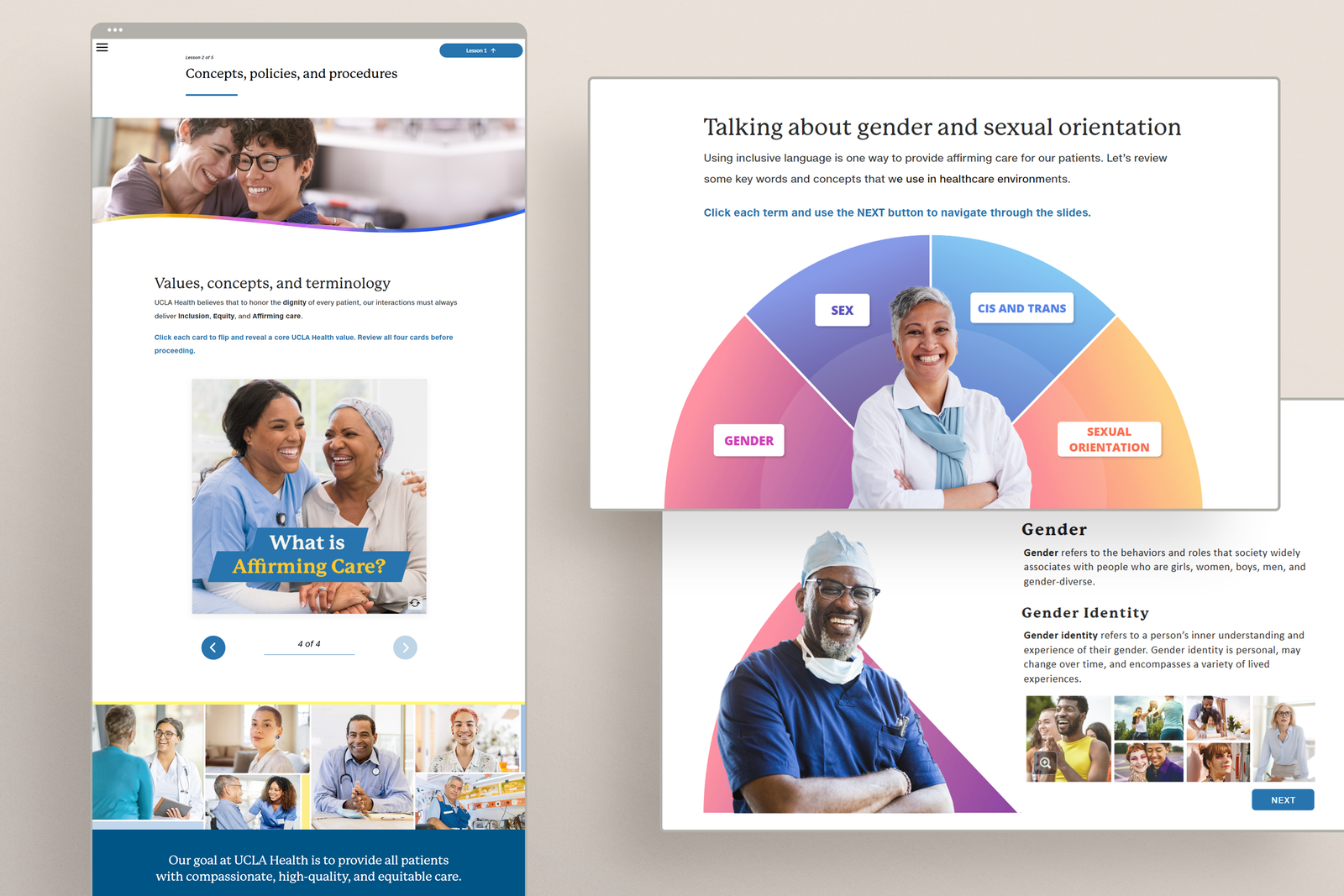 Screenshot of multiple visual layouts from the module.