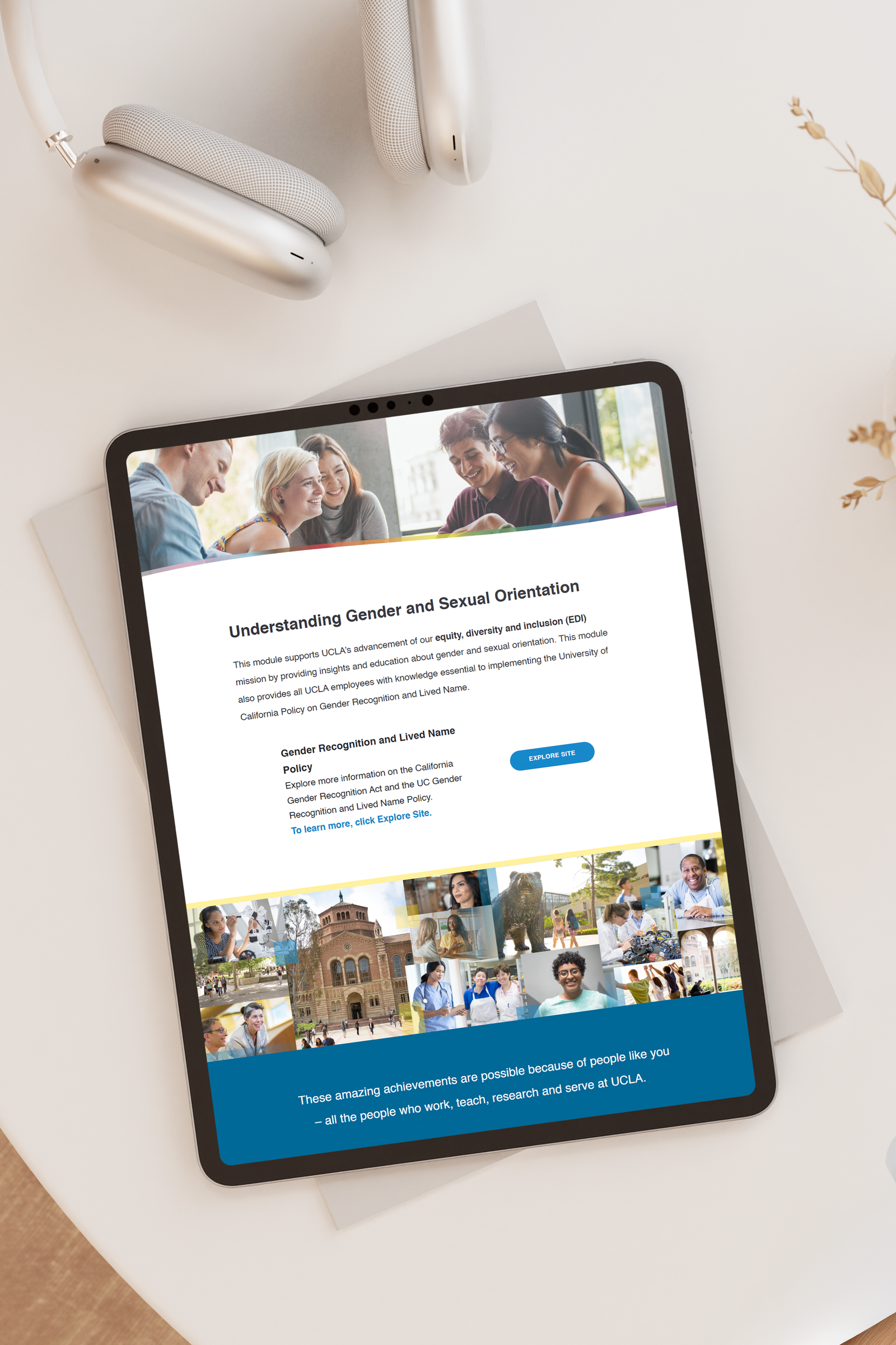 Screenshot of module landing page on iPad.