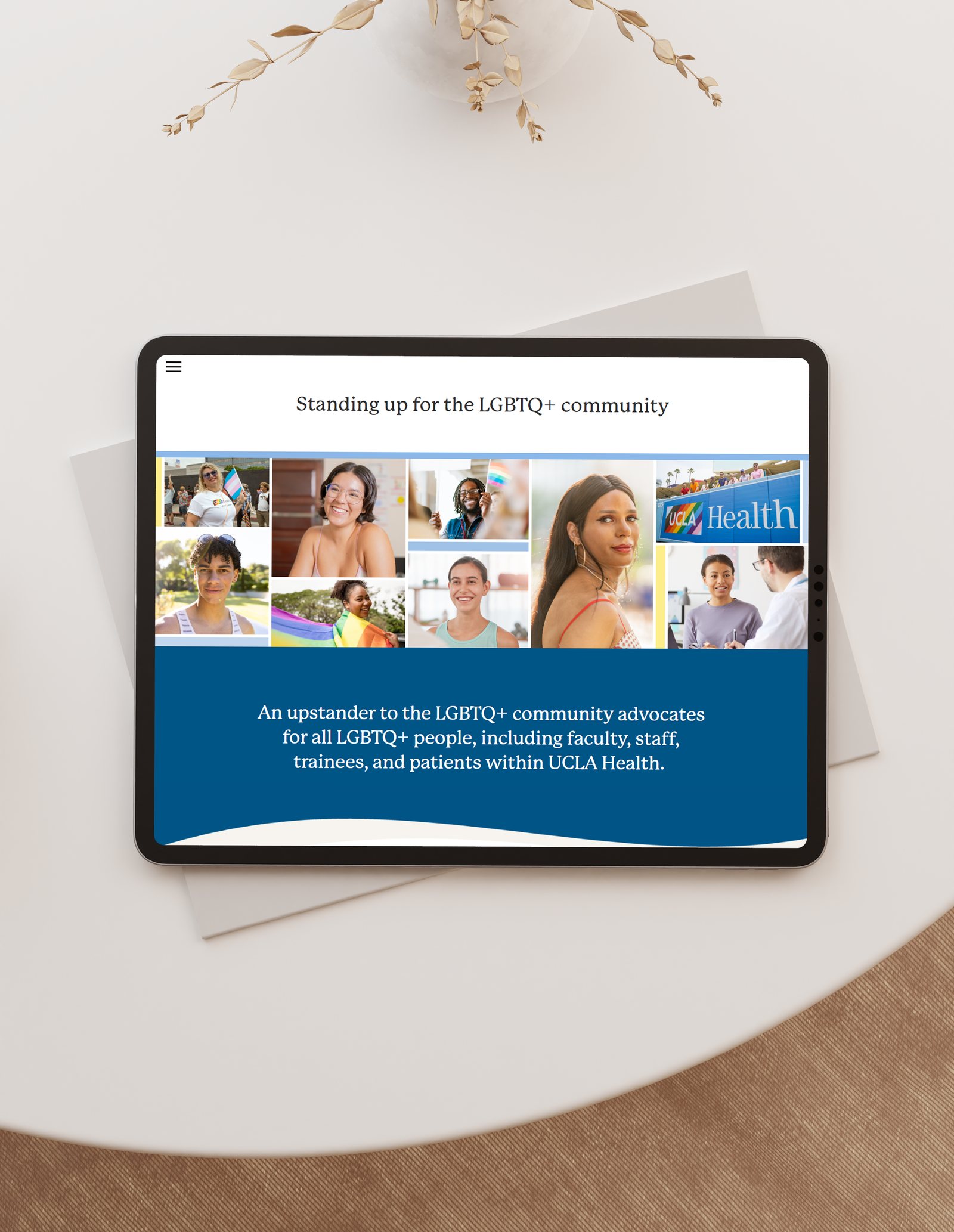 Screenshot of module introduction on iPad.